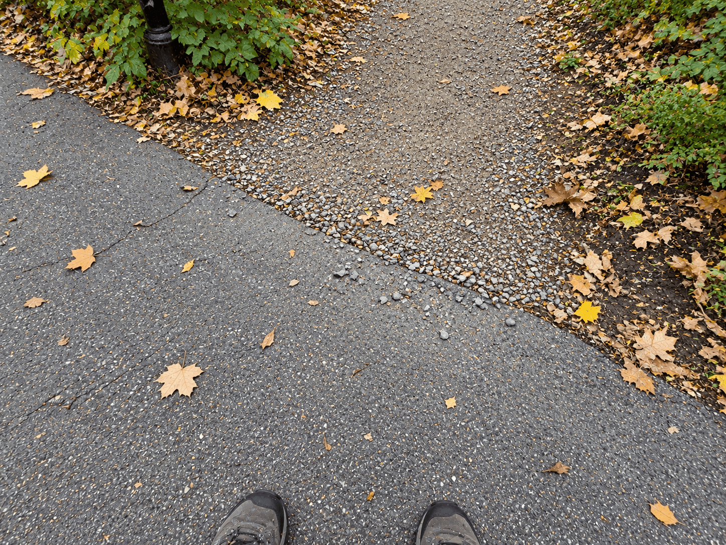 A close view of a paved park path meeting a gravel branch, with the paved route continuing beside it.